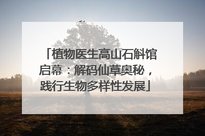 植物医生高山石斛馆启幕：解码仙草奥秘，践行生物多样性发展