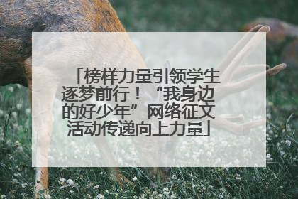 榜样力量引领学生逐梦前行！“我身边的好少年”网络征文活动传递向上力量
