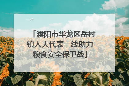 濮阳市华龙区岳村镇人大代表一线助力粮食安全保卫战