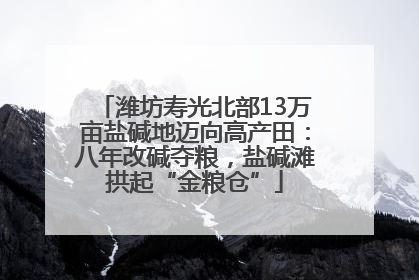 潍坊寿光北部13万亩盐碱地迈向高产田：八年改碱夺粮，盐碱滩拱起“金粮仓”
