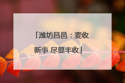 潍坊昌邑：麦收新事 尽显丰收