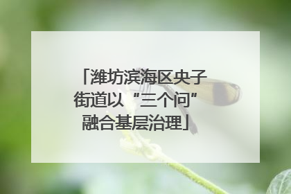 潍坊滨海区央子街道以“三个问”融合基层治理