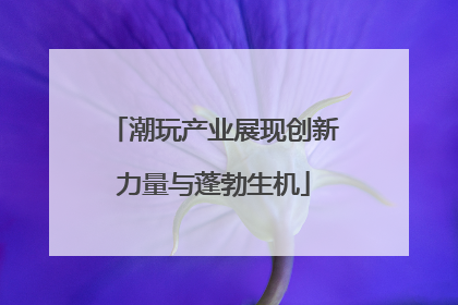 潮玩产业展现创新力量与蓬勃生机