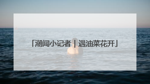 潮闻小记者｜遇油菜花开