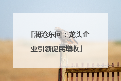 澜沧东回：龙头企业引领促民增收