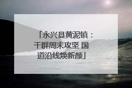 永兴县黄泥镇：干群周末攻坚 国道沿线焕新颜