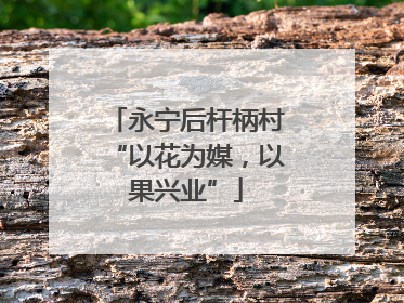 永宁后杆柄村“以花为媒，以果兴业”