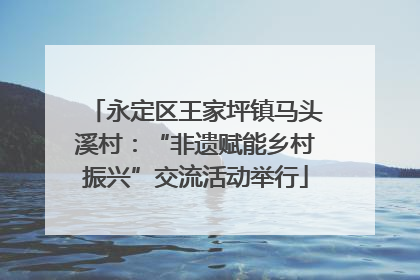 永定区王家坪镇马头溪村：“非遗赋能乡村振兴”交流活动举行