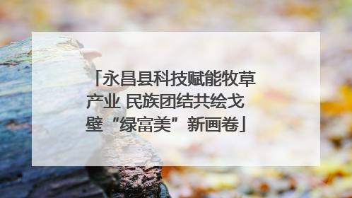 永昌县科技赋能牧草产业 民族团结共绘戈壁“绿富美”新画卷