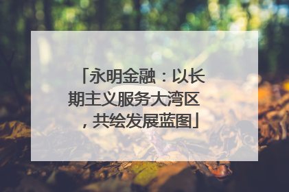 永明金融：以长期主义服务大湾区，共绘发展蓝图