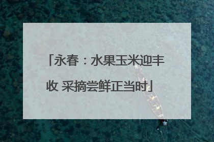 永春：水果玉米迎丰收 采摘尝鲜正当时