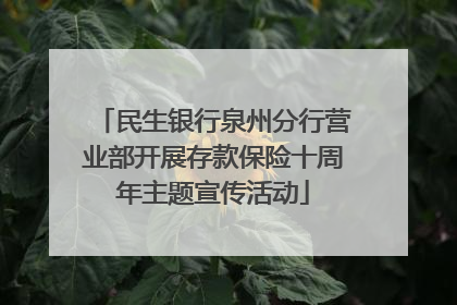 民生银行泉州分行营业部开展存款保险十周年主题宣传活动