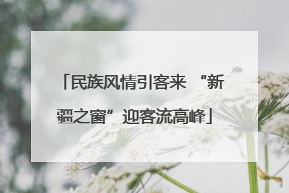 民族风情引客来 “新疆之窗”迎客流高峰