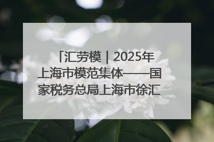 汇劳模｜2025年上海市模范集体——国家税务总局上海市徐汇区税务局第一税务所