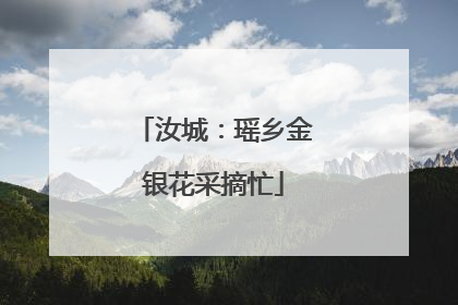 汝城：瑶乡金银花采摘忙