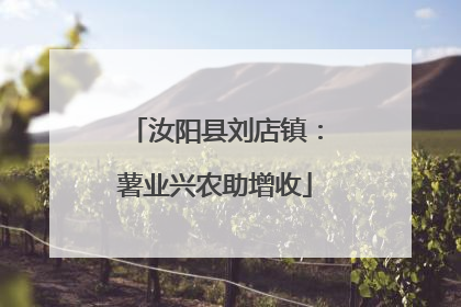 汝阳县刘店镇：薯业兴农助增收