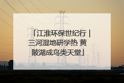 江淮环保世纪行｜三河湿地研学热 黄陂湖成鸟类天堂
