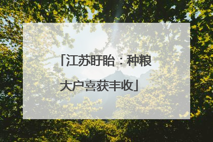 江苏盱眙：种粮大户喜获丰收