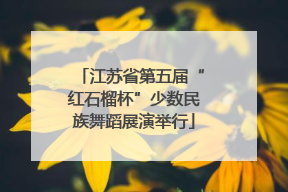 江苏省第五届“红石榴杯”少数民族舞蹈展演举行