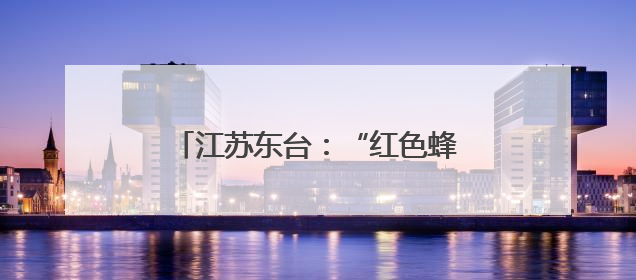 江苏东台：“红色蜂群”采酿快递之蜜
