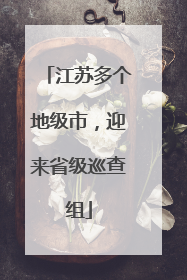 江苏多个地级市，迎来省级巡查组