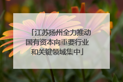 江苏扬州全力推动国有资本向重要行业和关键领域集中