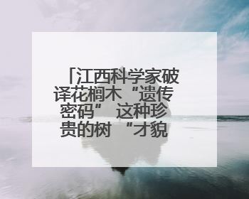 江西科学家破译花榈木“遗传密码” 这种珍贵的树 “才貌双全”还能抗“EMO”