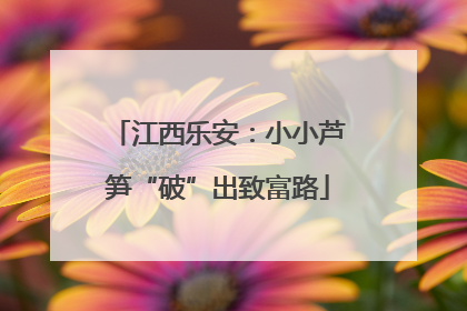 江西乐安：小小芦笋“破”出致富路
