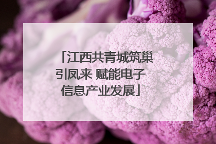 江西共青城筑巢引凤来 赋能电子信息产业发展