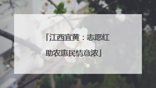 江西宜黄：志愿红助农惠民情意浓