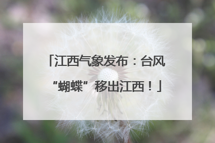 江西气象发布：台风“蝴蝶”移出江西！