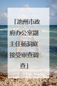 池州市政府办公室副主任杨洞庭接受审查调查
