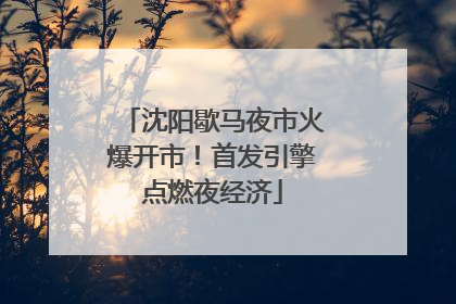 沈阳歇马夜市火爆开市！首发引擎点燃夜经济