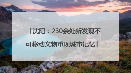 沈阳：230余处新发现不可移动文物重现城市记忆