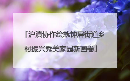 沪滇协作绘就钟屏街道乡村振兴秀美家园新画卷