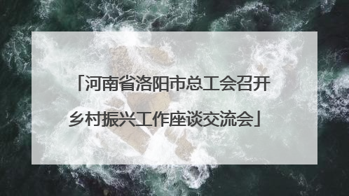 河南省洛阳市总工会召开乡村振兴工作座谈交流会