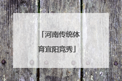 河南传统体育宜阳竞秀