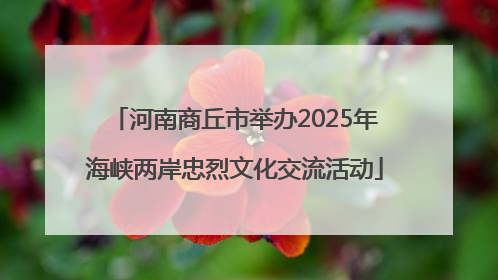 河南商丘市举办2025年海峡两岸忠烈文化交流活动