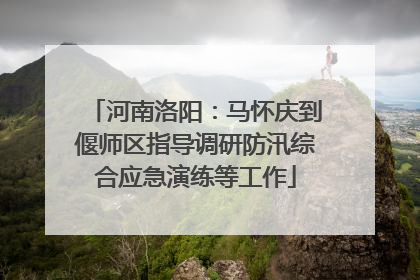 河南洛阳：马怀庆到偃师区指导调研防汛综合应急演练等工作