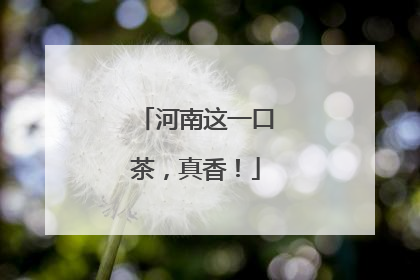 河南这一口茶，真香！