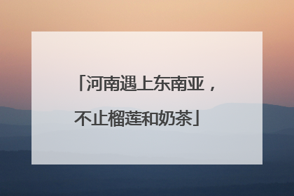 河南遇上东南亚，不止榴莲和奶茶