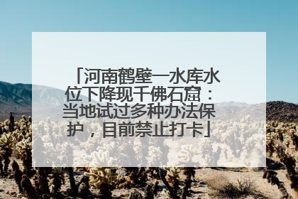 河南鹤壁一水库水位下降现千佛石窟：当地试过多种办法保护，目前禁止打卡