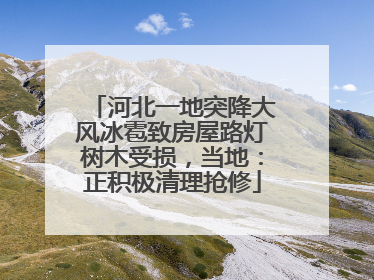河北一地突降大风冰雹致房屋路灯树木受损，当地：正积极清理抢修