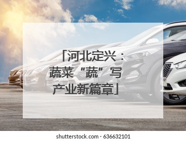 河北定兴：蔬菜“蔬”写产业新篇章