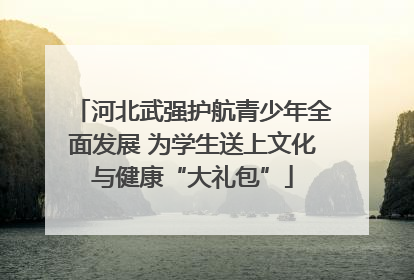 河北武强护航青少年全面发展 为学生送上文化与健康“大礼包”