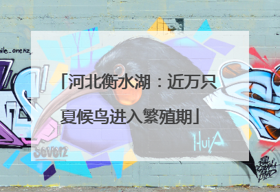 河北衡水湖：近万只夏候鸟进入繁殖期
