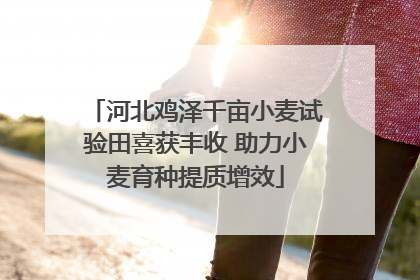 河北鸡泽千亩小麦试验田喜获丰收 助力小麦育种提质增效