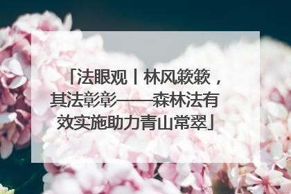 法眼观丨林风簌簌，其法彰彰——森林法有效实施助力青山常翠