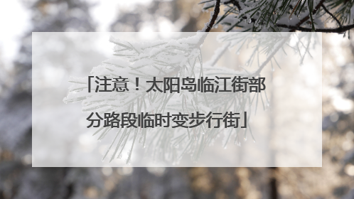 注意！太阳岛临江街部分路段临时变步行街