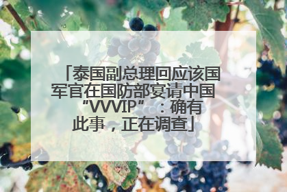 泰国副总理回应该国军官在国防部宴请中国“VVVIP”：确有此事，正在调查